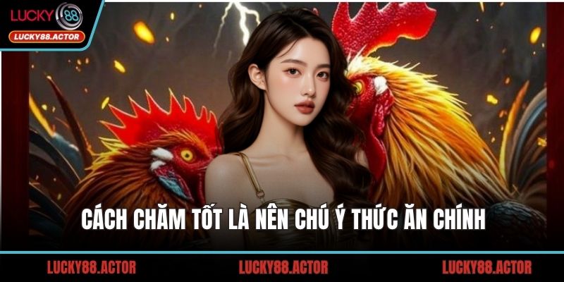 Cách chăm tốt là nên chú ý thức ăn chính
