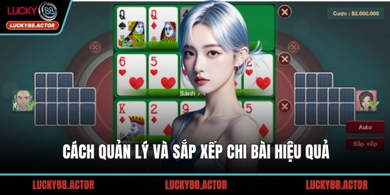 Cách quản lý và sắp xếp chi bài hiệu quả
